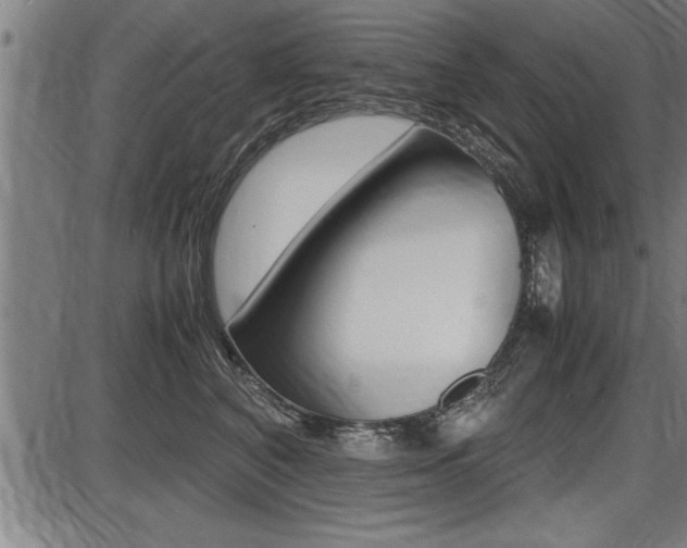 X0000087690616200705040823