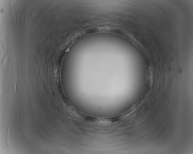 X0000087690619200705040823