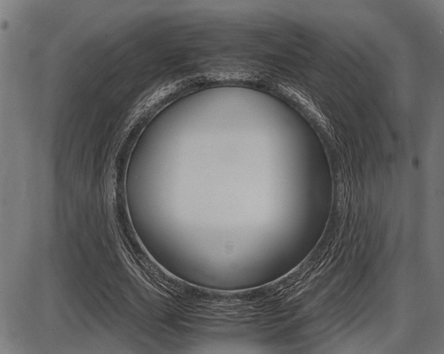 X0000087690631200705040822