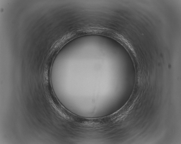 X0000087690633200705040822