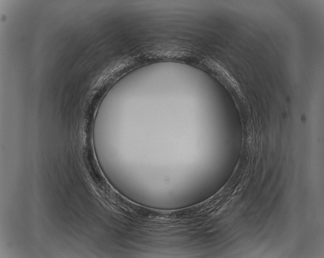 X0000087690635200705040822