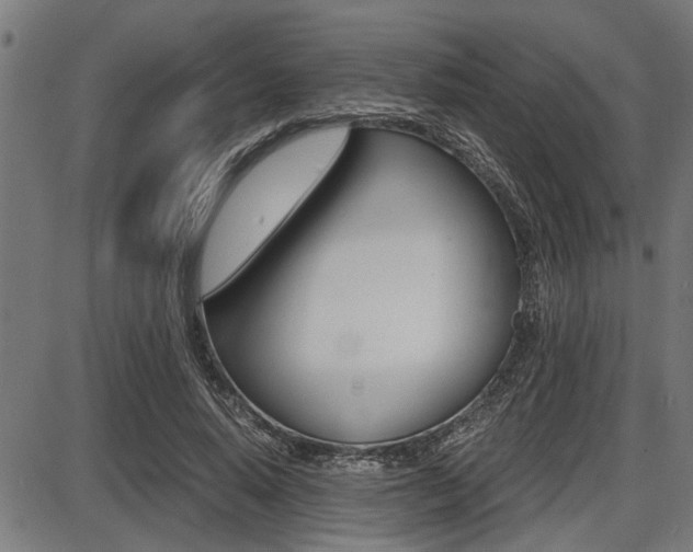X0000087690640200705040822