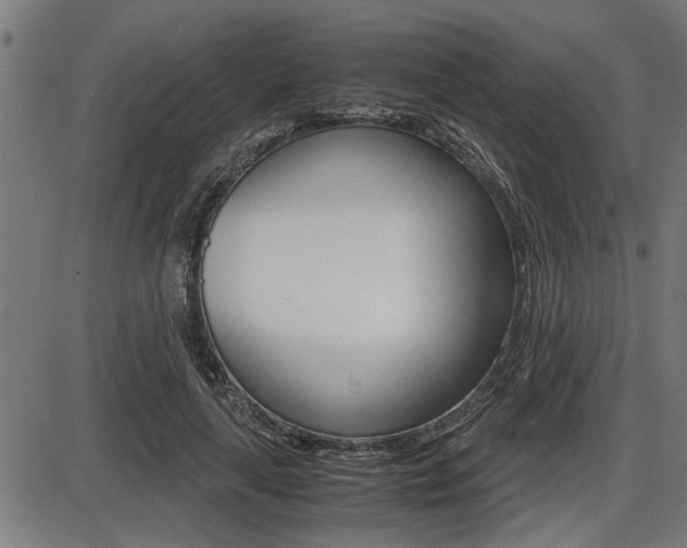 X0000087690643200705040822