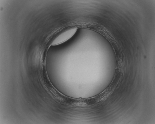 X0000087690644200705040822