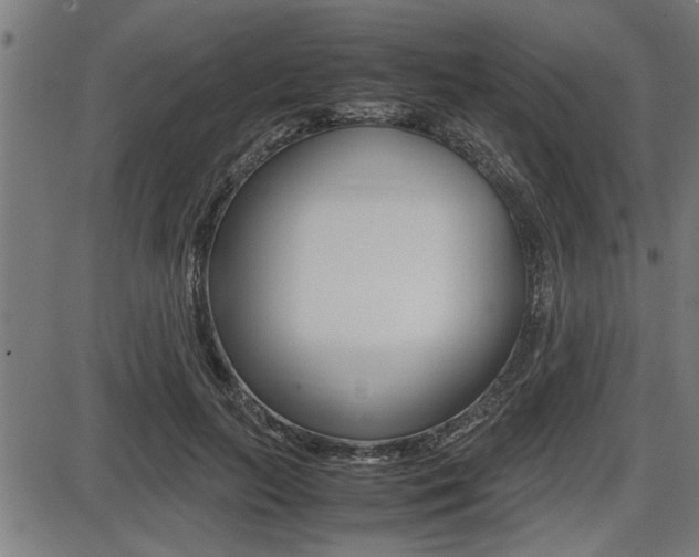 X0000087690647200705040822