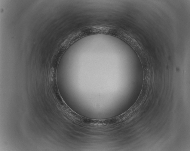 X0000087690649200705040822