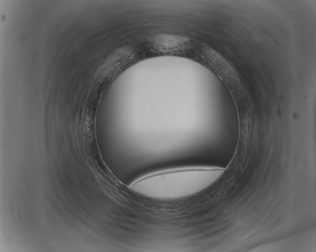 X0000087690653200705040822