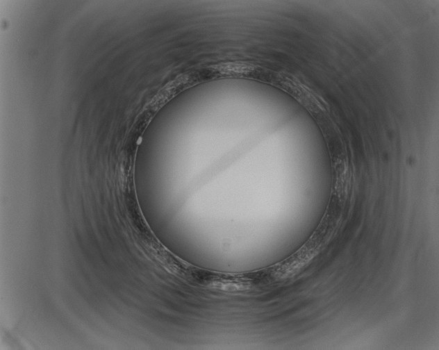X0000087690655200705040822