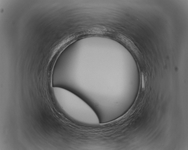 X0000087690675200705040822