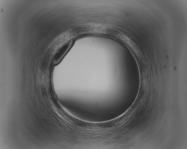 X0000087690677200705040822