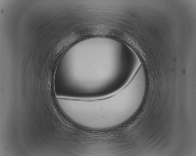 X0000087690681200705040822