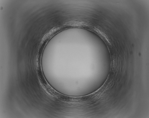 X0000087690682200705040822