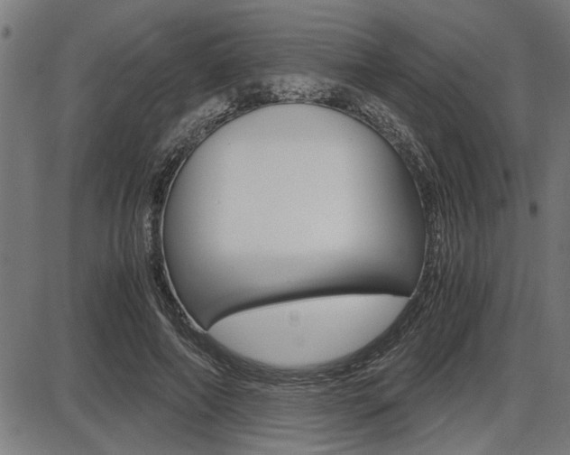 X0000087690690200705040822