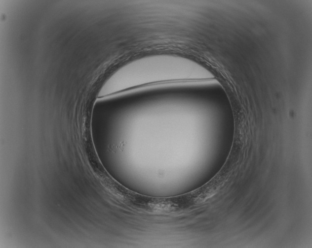 X0000087690693200705040822