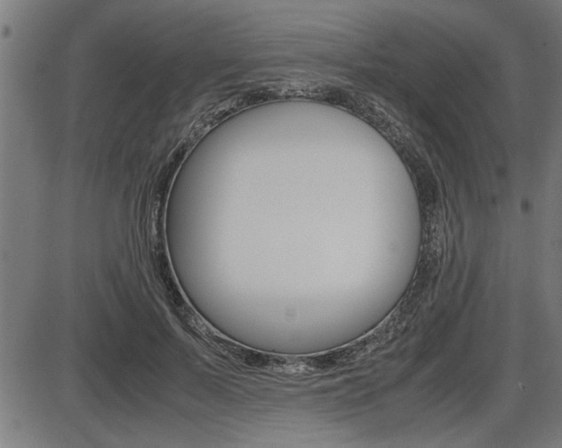 X0000087690695200705040822