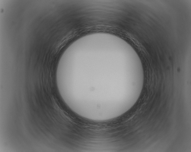 X0000087690696200705040822