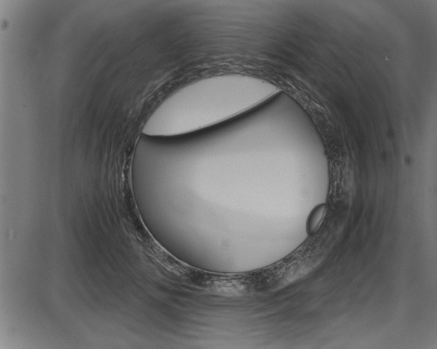 X0000087690702200705040821