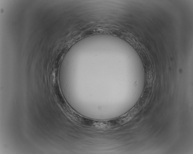 X0000087690703200705040821
