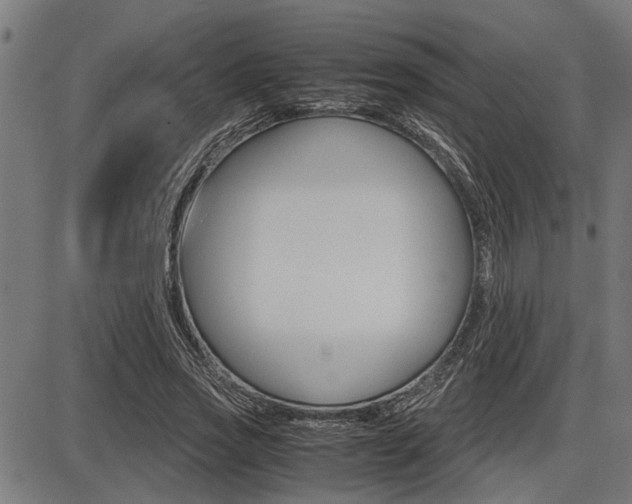 X0000087690733200705040821