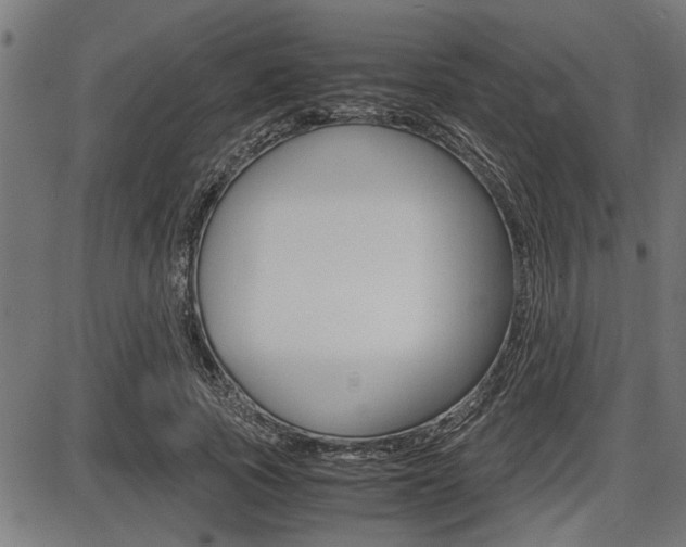 X0000087690737200705040821