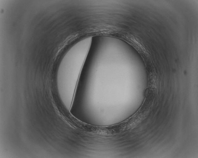 X0000087690738200705040821