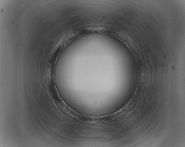 X0000087690739200705040821