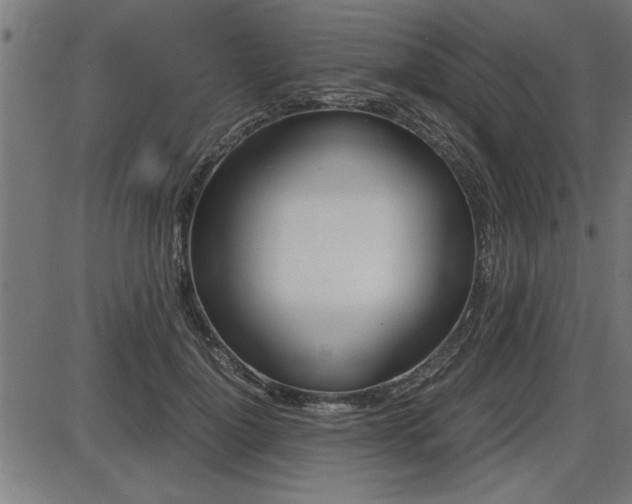 X0000087690748200705040821