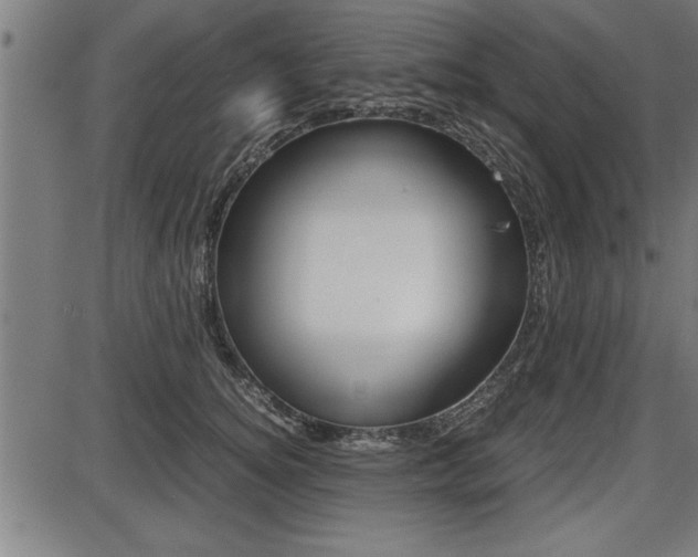 X0000087690756200705040821