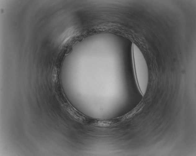 X0000087690758200705040821