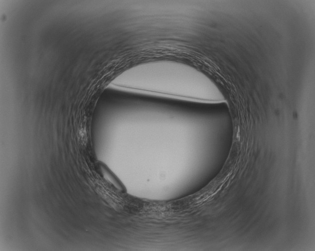 X0000087690771200705040820