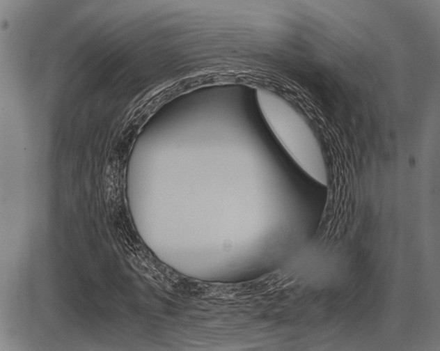 X0000087690773200705040820