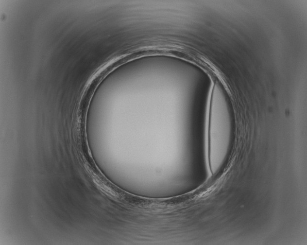 X0000087690779200705040820