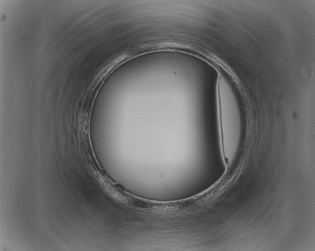 X0000087690793200705040820