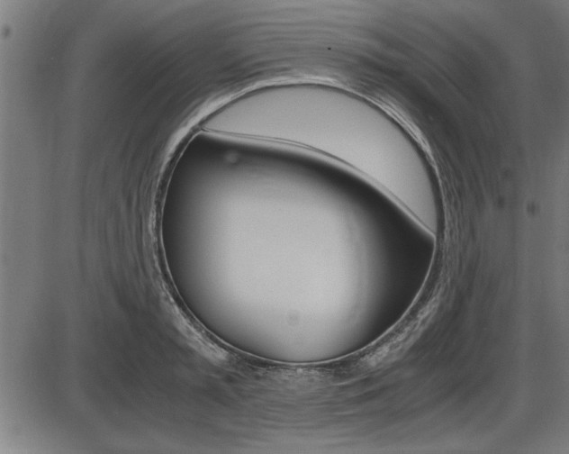 X0000087690797200705040820