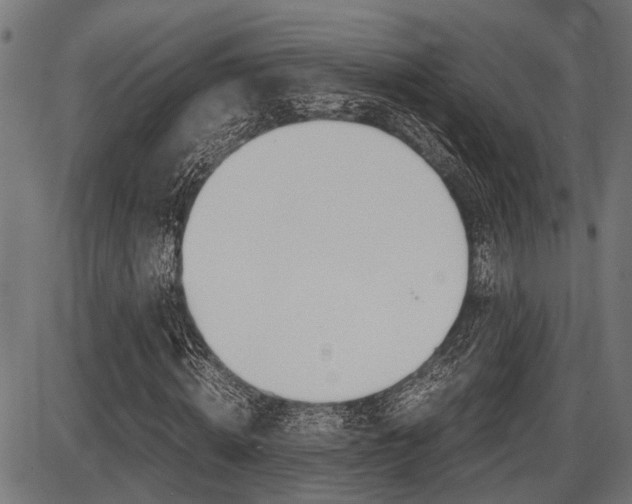 X0000087690820200705040819