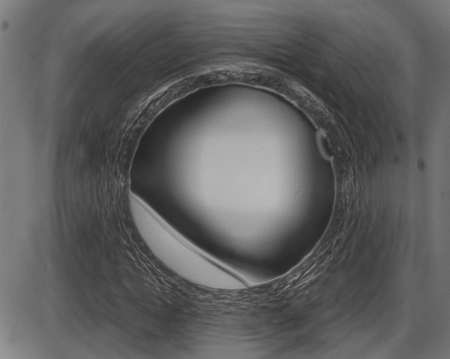 X0000087690822200705040819