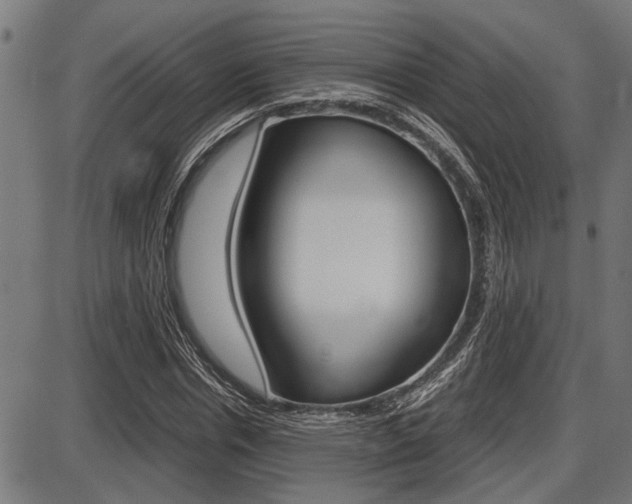 X0000087690826200705040819
