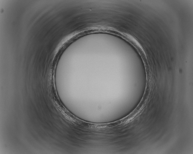 X0000087690831200705040819