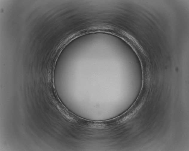 X0000087690833200705040819