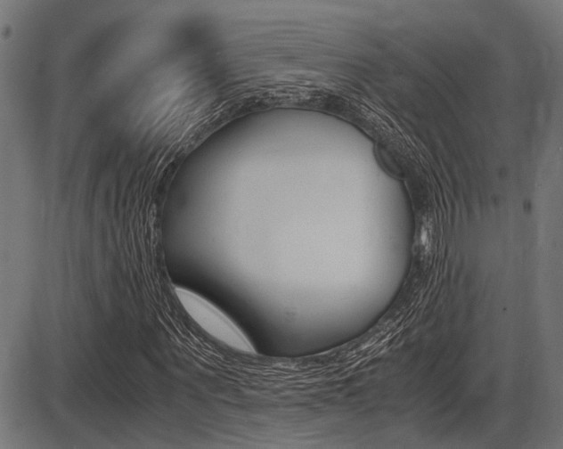 X0000087690867200705040819