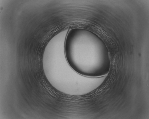 X0000087690868200705040819