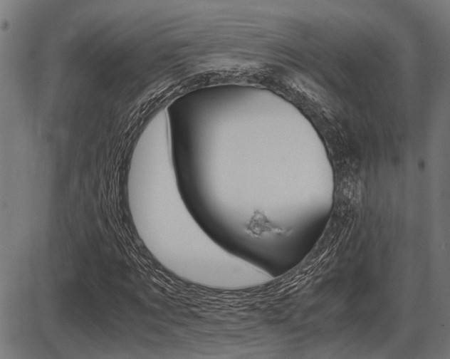 X0000087690869200705040819