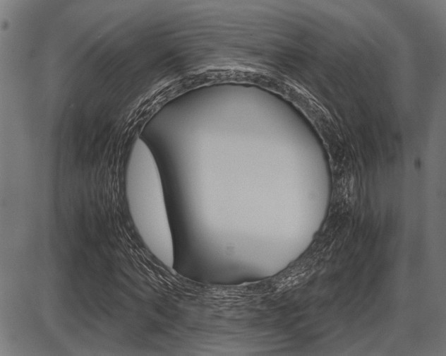 X0000087690870200705040819
