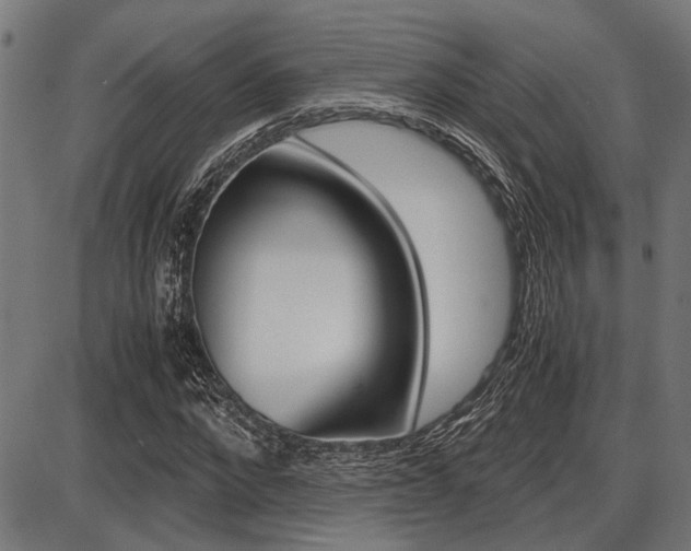X0000087690872200705040819