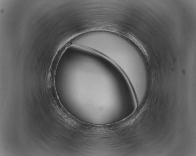 X0000087690876200705040819