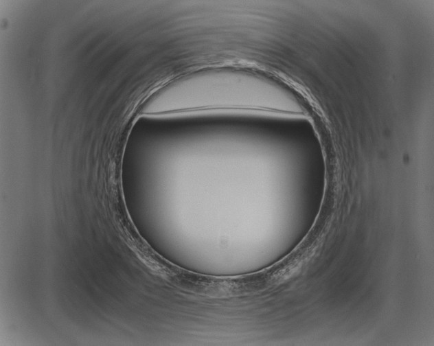 X0000087690881200705040819