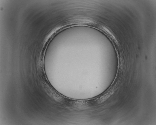 X0000087690883200705040819