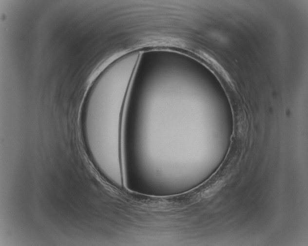 X0000087690885200705040818