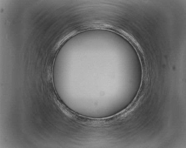 X0000087690889200705040818