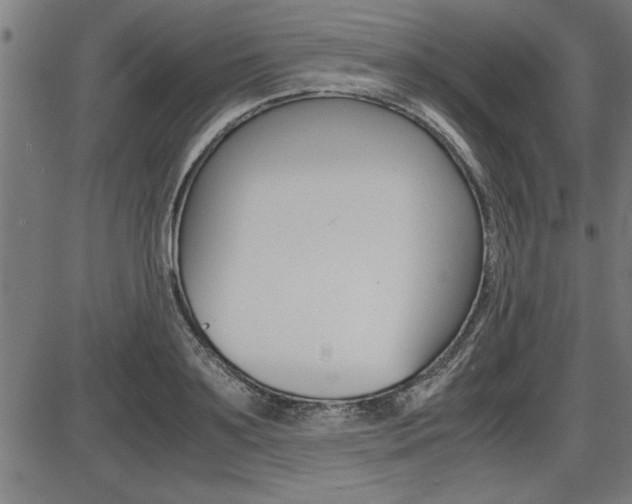 X0000087690891200705040818